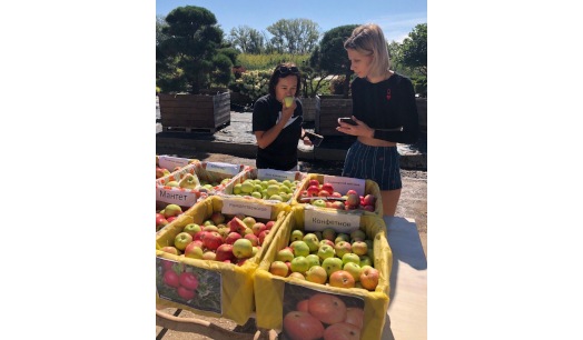 Дегустация