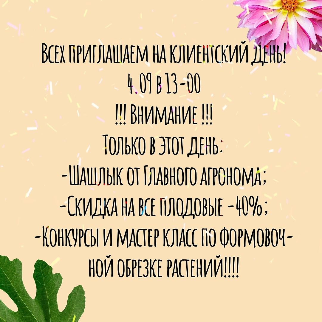 Клиентский день