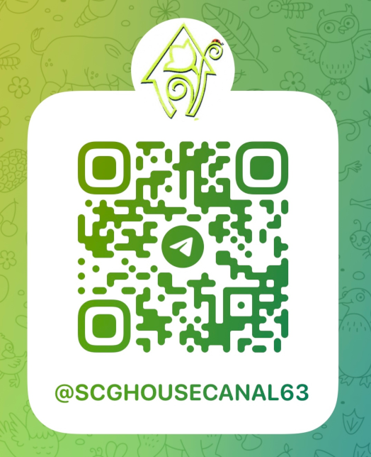 Хвойные растения