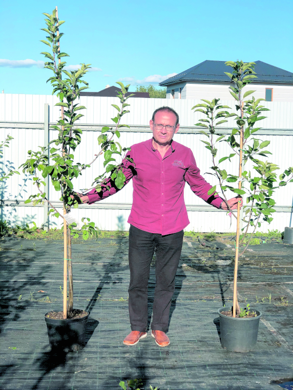 Октябрь за дверью... Сажай плодовые деревья