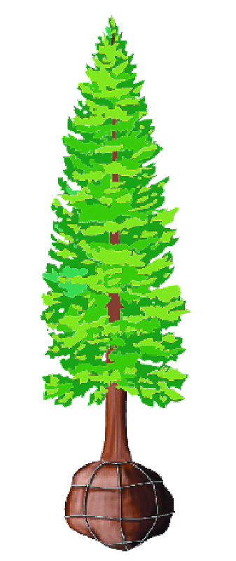 Что нужно знать о... крупномерах