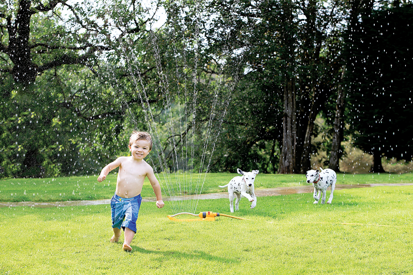 Дарящим жизнь