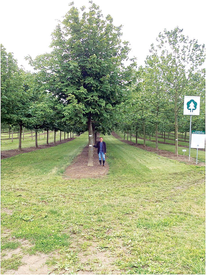 В мае обязательны