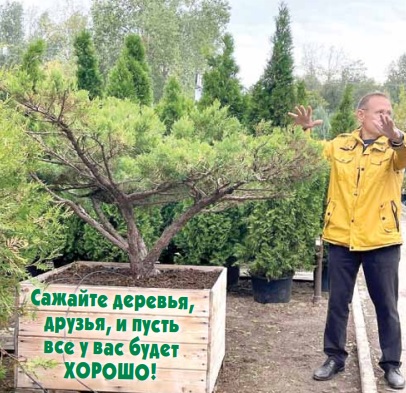 Зри в корень