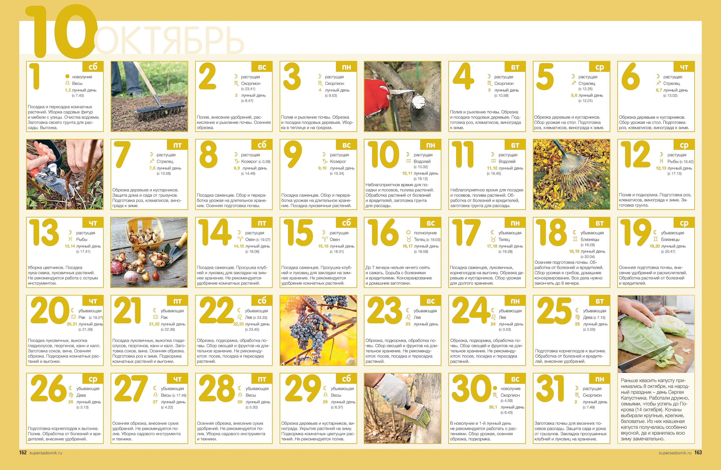 Календарь работ в саду на октябрь