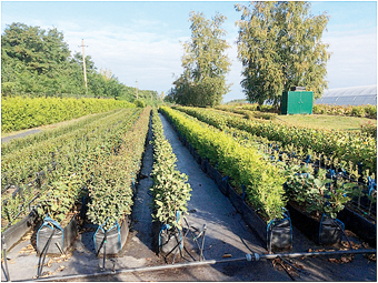 Путешествие  из Нового Оскола в Самару