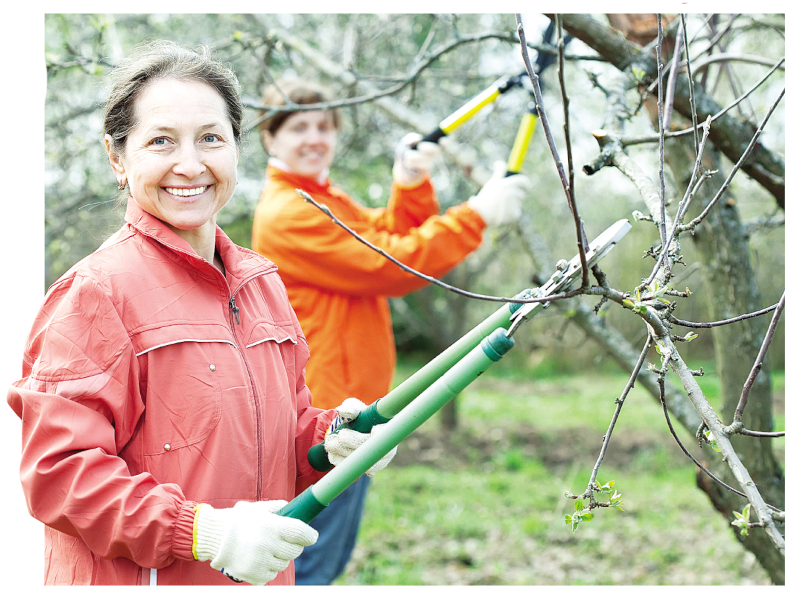 План садовых работ в мае
