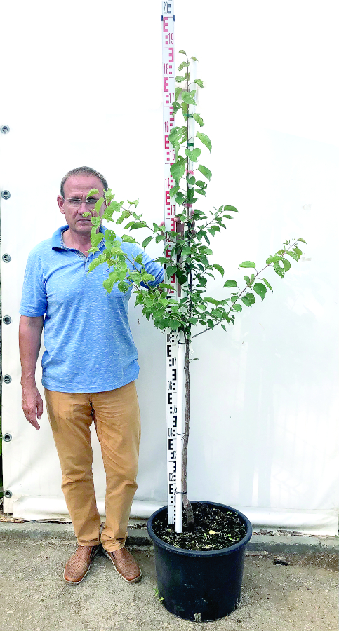 Инструкция по посадке