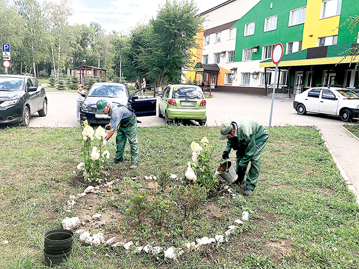 Спасибо, доктор!