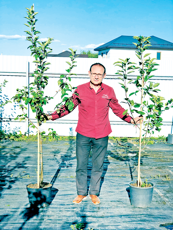 Саженцы плодовых