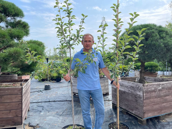 Клиентский день в «Зеленом доме»