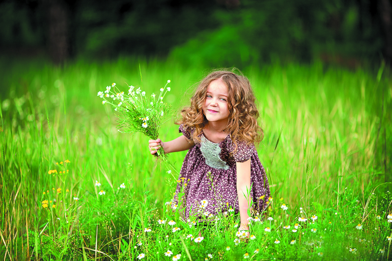 План садовых работ в августе