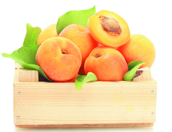 Плодовые растения