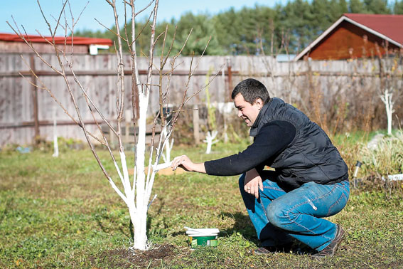 На старт, внимание, марш: сад ждет!