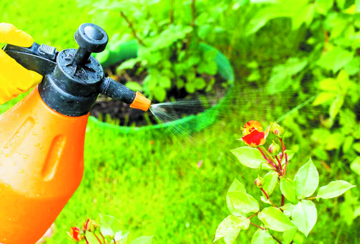 Полезная химия: учимся защищать и удобрять растения