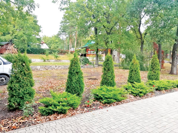 «До» и «после»: практическая магия