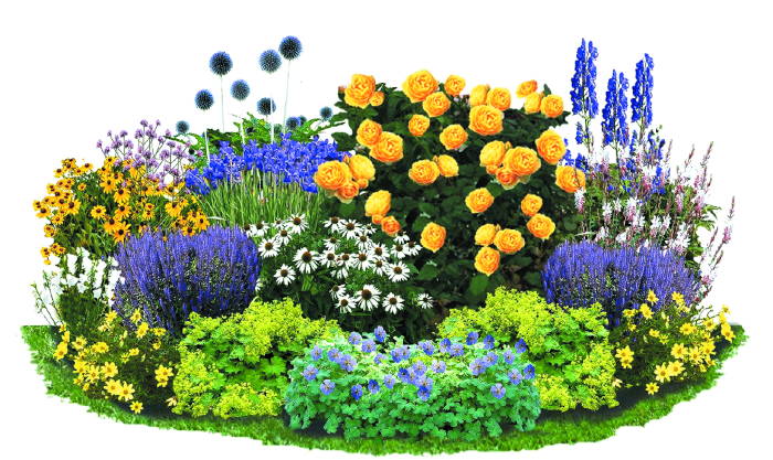 Внимание: цветник