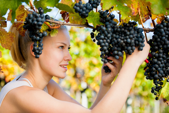 Ты мой сладкий виноград!