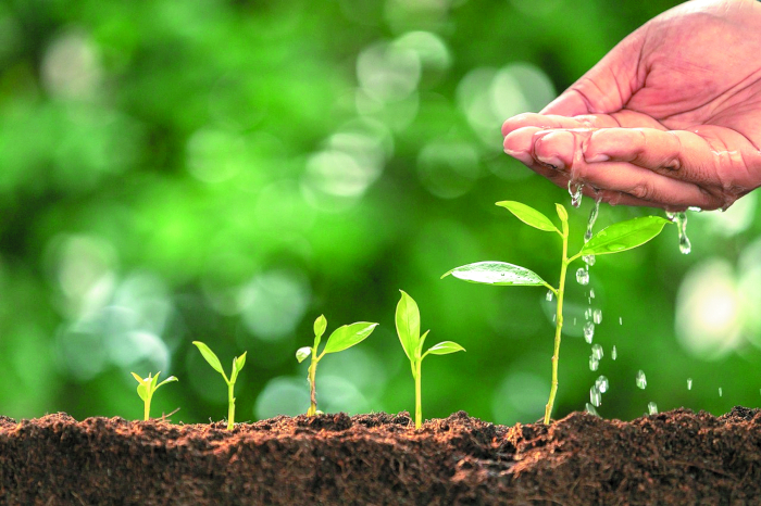 Полезная химия