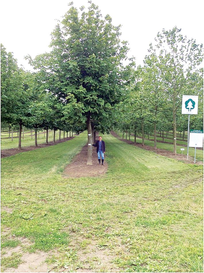 В мае обязательны