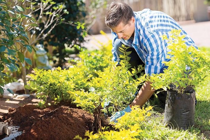 План работы на июль