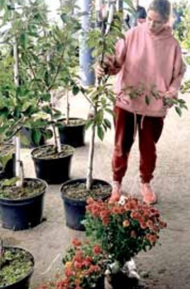 Всем товарам товар