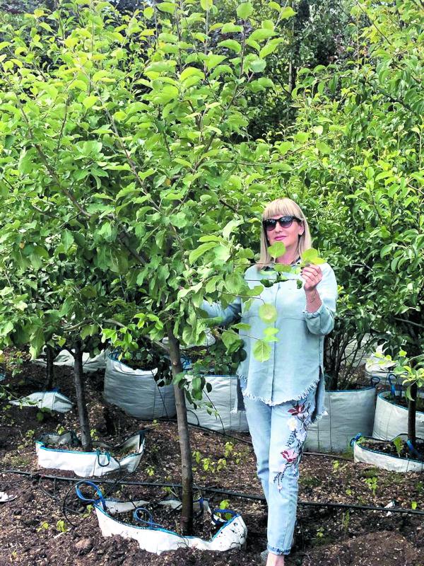 Приживаемость - 100%