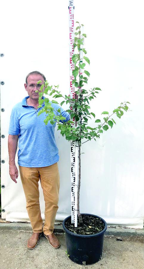 Инструкция по посадке