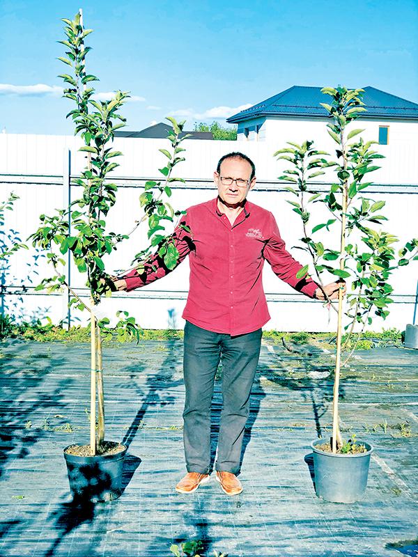 Саженцы плодовых