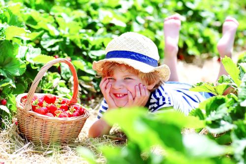 План работ на июнь