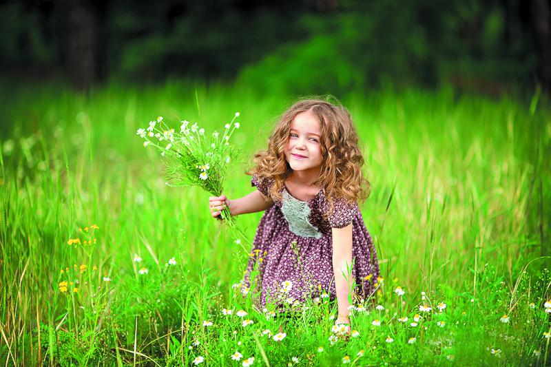 План садовых работ в августе