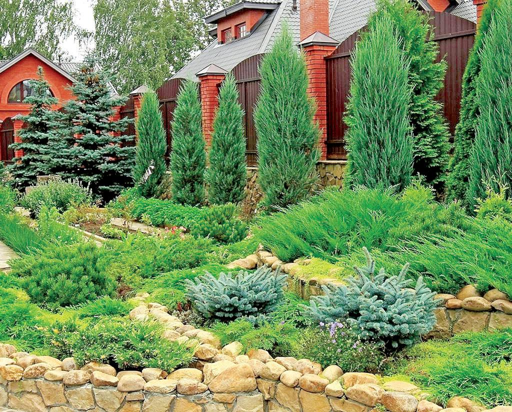 Идеальный сад без садовника? Легко!