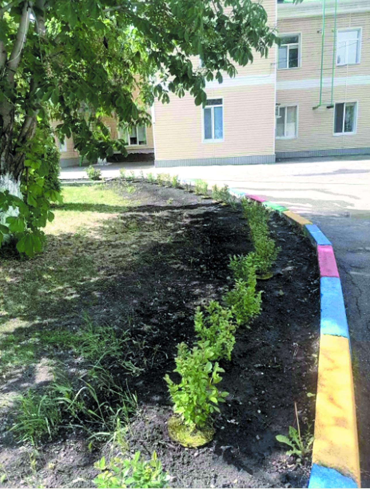 Красота для малышей