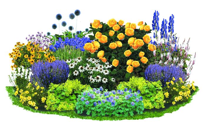 Внимание: цветник