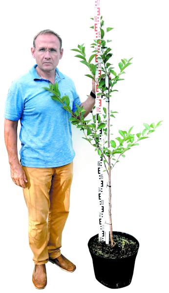 План садовых работ в октябре